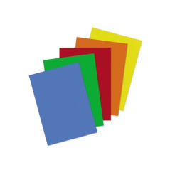 Carta Michelangelo Color Formato A4 - risma da 500 fogli 80g - colori forti - 5 colori assortitìti